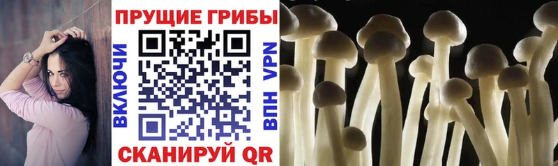 Галлюциногенные грибы ЛСД  Купить где  Ипатово 